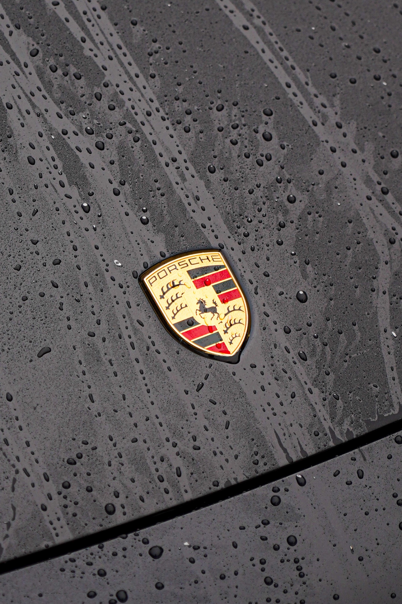 Water beading on the ceramic-coated hood of a Porsche